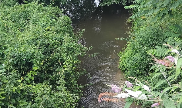 La foce del torrente Vevera ad Arona continua a essere in condizioni difficili nonostante gli investimenti sulla depurazione delle acque