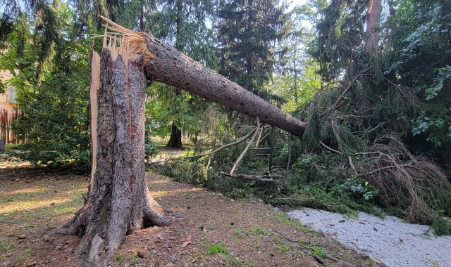 I danni causati dal maltempo al parco di Villa Recalcati