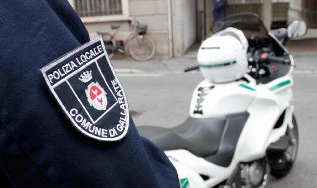 Zorro e i falchi: più sicurezza a Gallarate