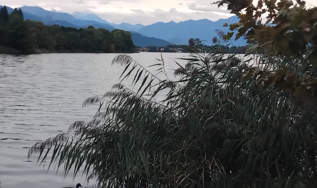 Il lago di Comabbio