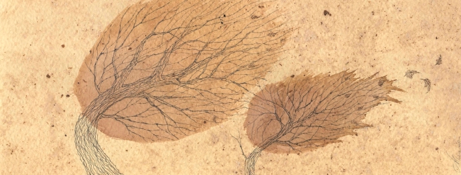 Della natura e dell’arte