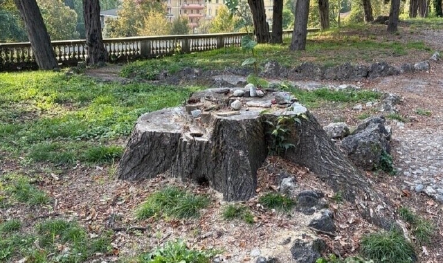 L’immagine che accompagna la petizione