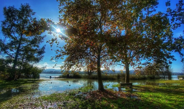 Schiranna e lago hanno cambiato “volto” rispetto ai giorni grigi delle piogge (foto Susanna Clerici)