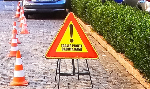 Tradate, cartello “caduta rami”. Ma non ci sono piante