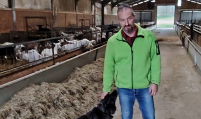 Mattia Crivelli fra le mucche e le capre della sua azienda agricola (a Cuveglio, prima era a Cittiglio) che ha fondato 25 anni fa per realizzare un sogno giovanile