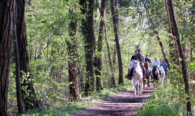Lombardia a cavallo, Varese in sella