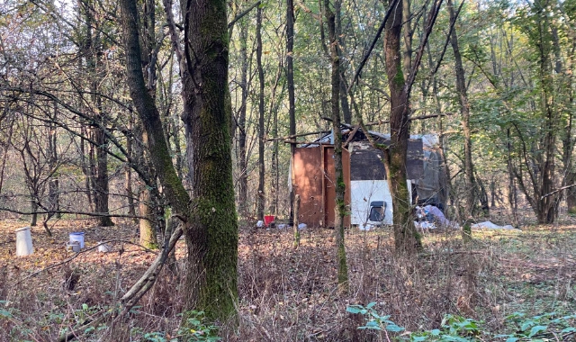 L’area boschiva dove sono stati trovati i bivacchi