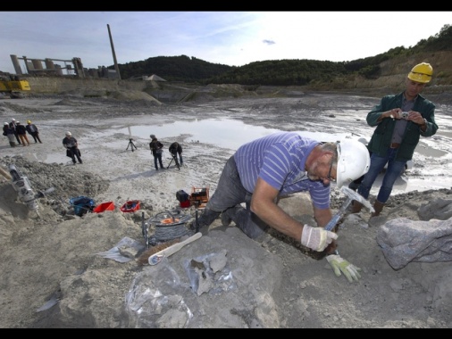 Trovato un ecosistema preistorico fossile in Valtellina