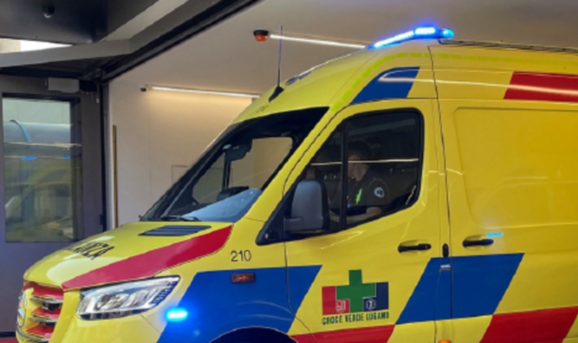 Cade durante i lavori di potatura: grave 50enne