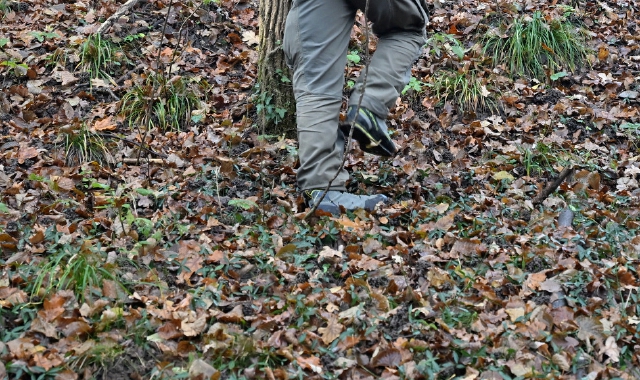 Muore mentre passeggia nel bosco con il cane
