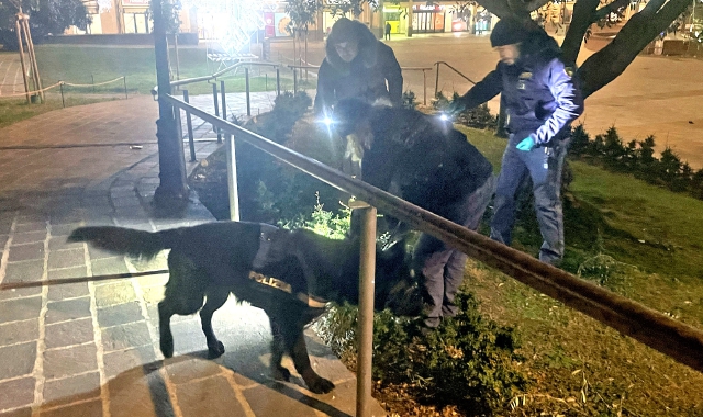 Le attività di controllo hanno visto l’impiego di poliziotti della Questura, un’unità cinofila e agenti della polizia locale (foto Angelo Puricelli - Agenzia Blitz)
