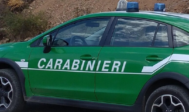 Il sequestro è stato condotto dai carabinieri forestali di Varese (foto Archivio)