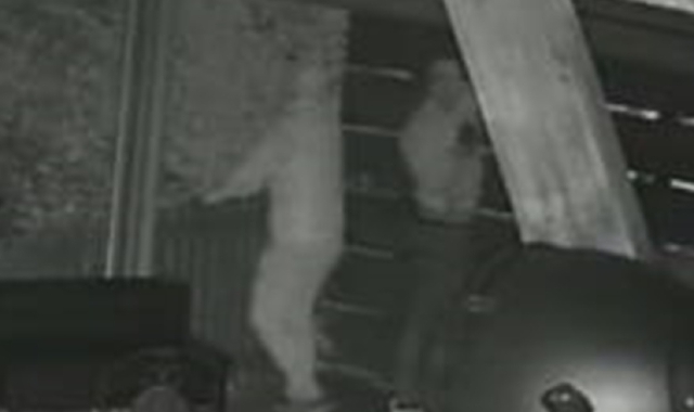 Ladri in casa a Natale: via gioielli e denaro nel Novarese