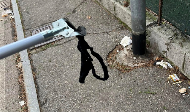Pulizie ad Azzate, spunta anche un perizoma