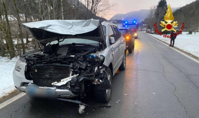 Auto contro cervo: feriti conducente e animale