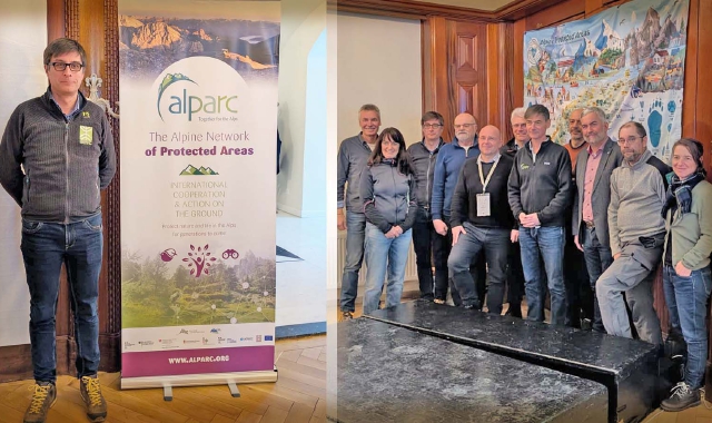 Il Parco Valgrande “cresce”: nomina in Alparc
