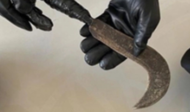 Il falcetto è stato sequestrato dai carabinieri (foto Archivio)