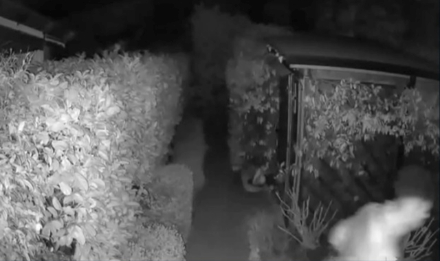 Varese, caccia al ladro al Faido