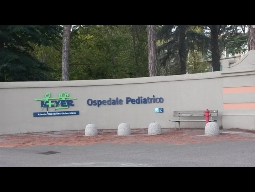 Morso da un cane a Firenze, neonato in codice rosso