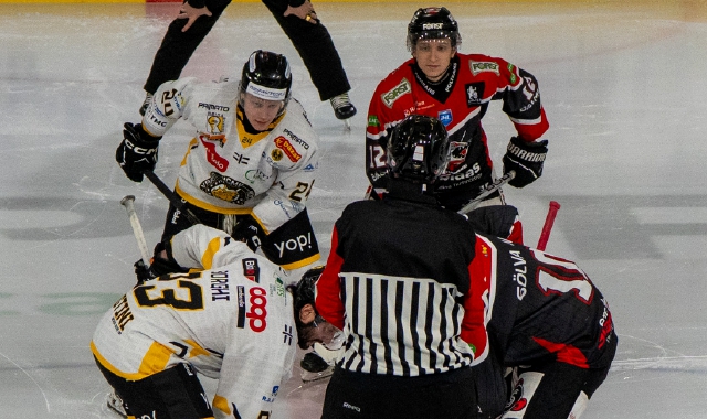 Via ai playoff, Mastini all’assalto dell’Alleghe