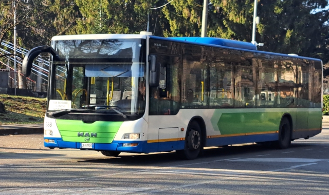 Aggressioni sui bus, Amsc denuncia: «Situazione insostenibile»