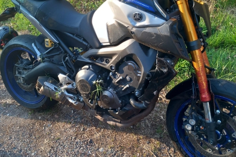 In moto contro un capriolo: ferito 31enne