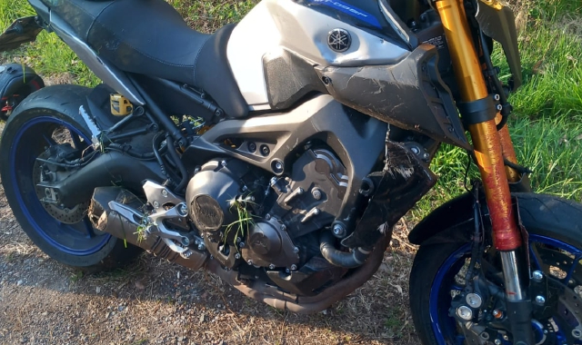 In moto contro un capriolo: ferito 31enne