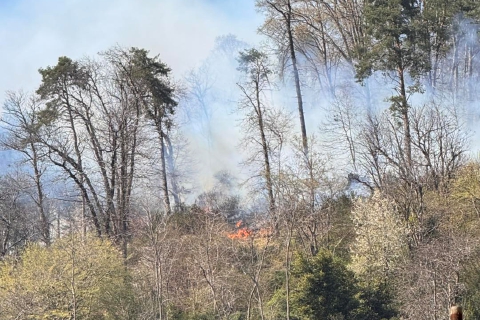 Fiamme nei boschi sopra Induno