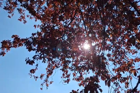 Varese, temperature sulle montagne russe