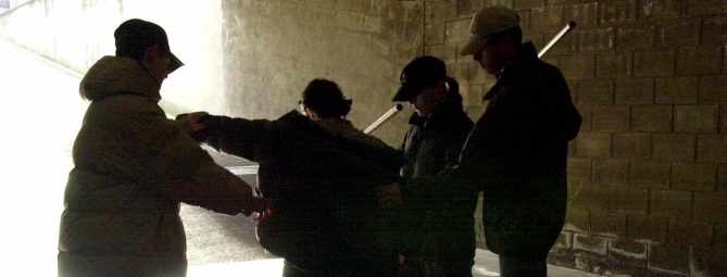 Baby gang: è allarme anche in Ticino