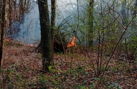 Fiamme a Coarezza: secondo rogo in un mese nella stessa zona