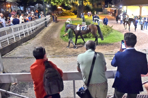 Ippodromo: il messaggio degli allenatori e la lettera della Varesina