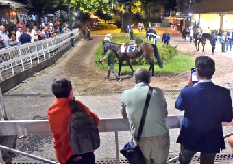 Ippodromo: il messaggio degli allenatori e la lettera della Varesina