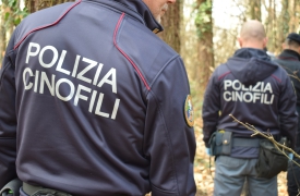 Boschi al setaccio: bivacco smantellato e droga recuperata