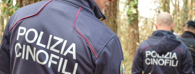 Boschi al setaccio: bivacco smantellato e droga recuperata