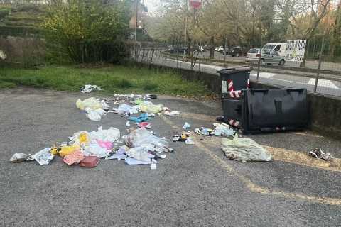 Cinghiali di notte a Masnago: assalto ai cassonetti