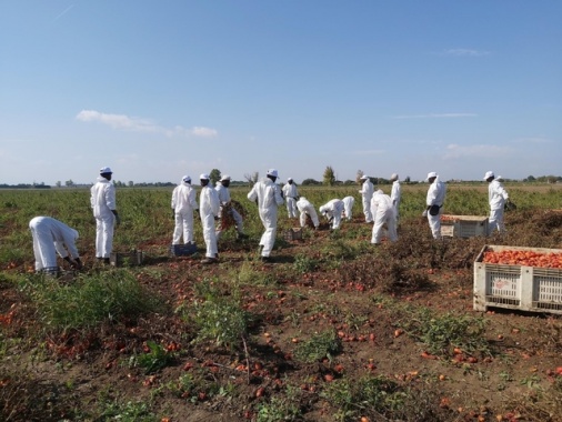 Nordio, in ddl difesa alimenti italiani reato agropirateria
