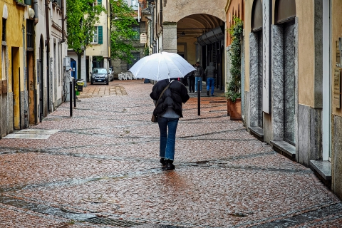 Torna la pioggia: Palme bagnate
