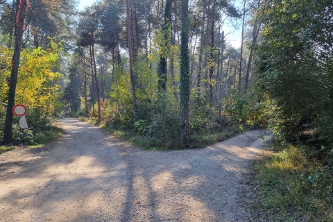 «C’è un orso nel Parco Pineta». Ma nessuno le crede