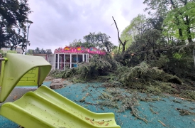 Un albero cade sulla giostrina dei bambini