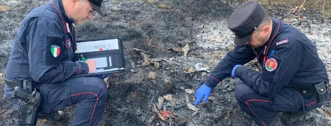 Tg Prealpina, il fuoco degli scout causa l'incendio