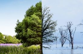 L’AI che migliora il clima, ma consuma energia e acqua