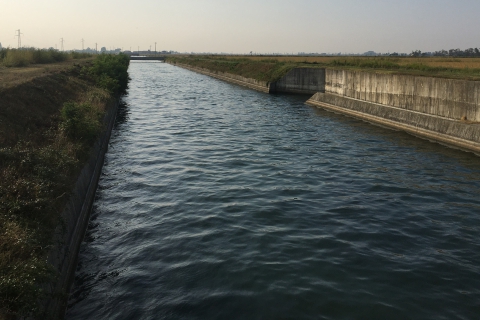 Ventenne nel canale: ore d’angoscia