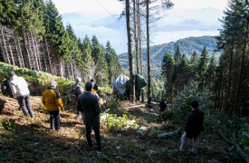 Tragedia del Mottarone, «cinque a processo»