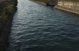 Trovato morto il ventenne caduto nel canale