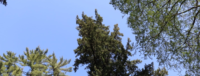 Riecco il sereno. Ma il weekend sarà con le nuvole