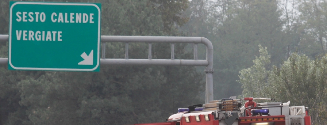 Due cervi in autostrada tra Sesto e Besnate
