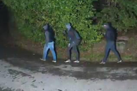 I furti, poi le fughe nel bosco: ancora ladri a Bobbiate