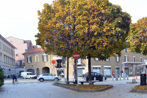 Varese: ruba uno scooter, bloccato dal proprietario