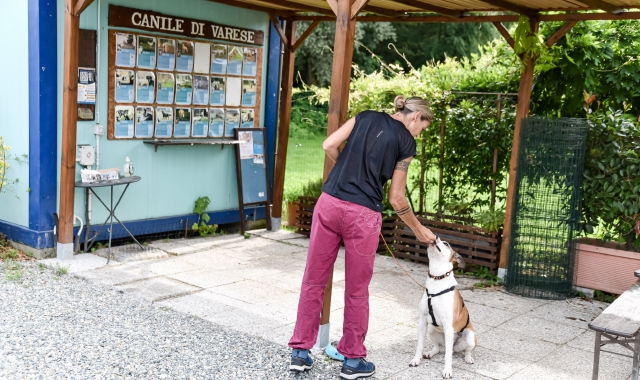 Varese, canile in festa